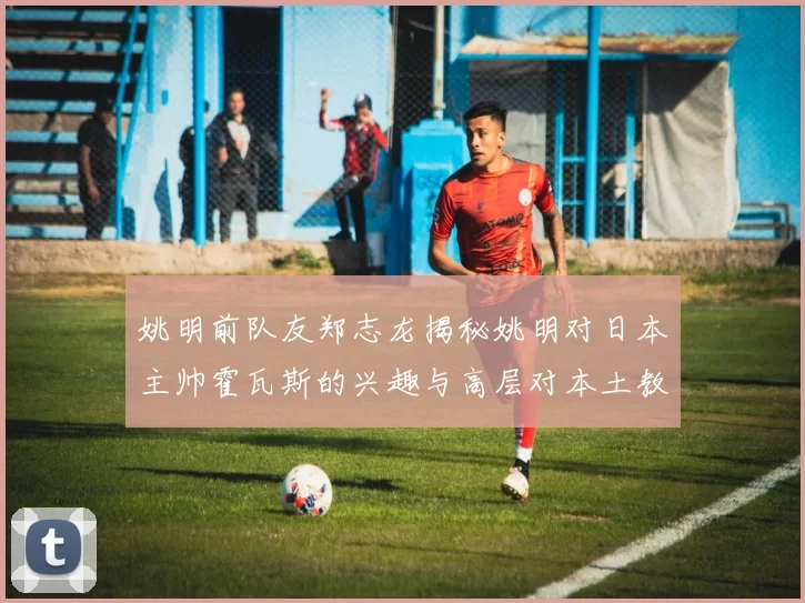 姚明前队友郑志龙揭秘姚明对日本主帅霍瓦斯的兴趣与高层对本土教练的偏好